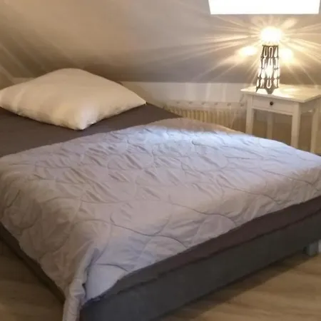 Prázdninový dům Lange Wiese 8 G